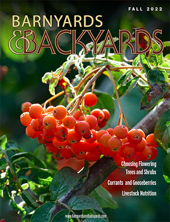 2022 Fall Barnyards & Backyards magazine cover