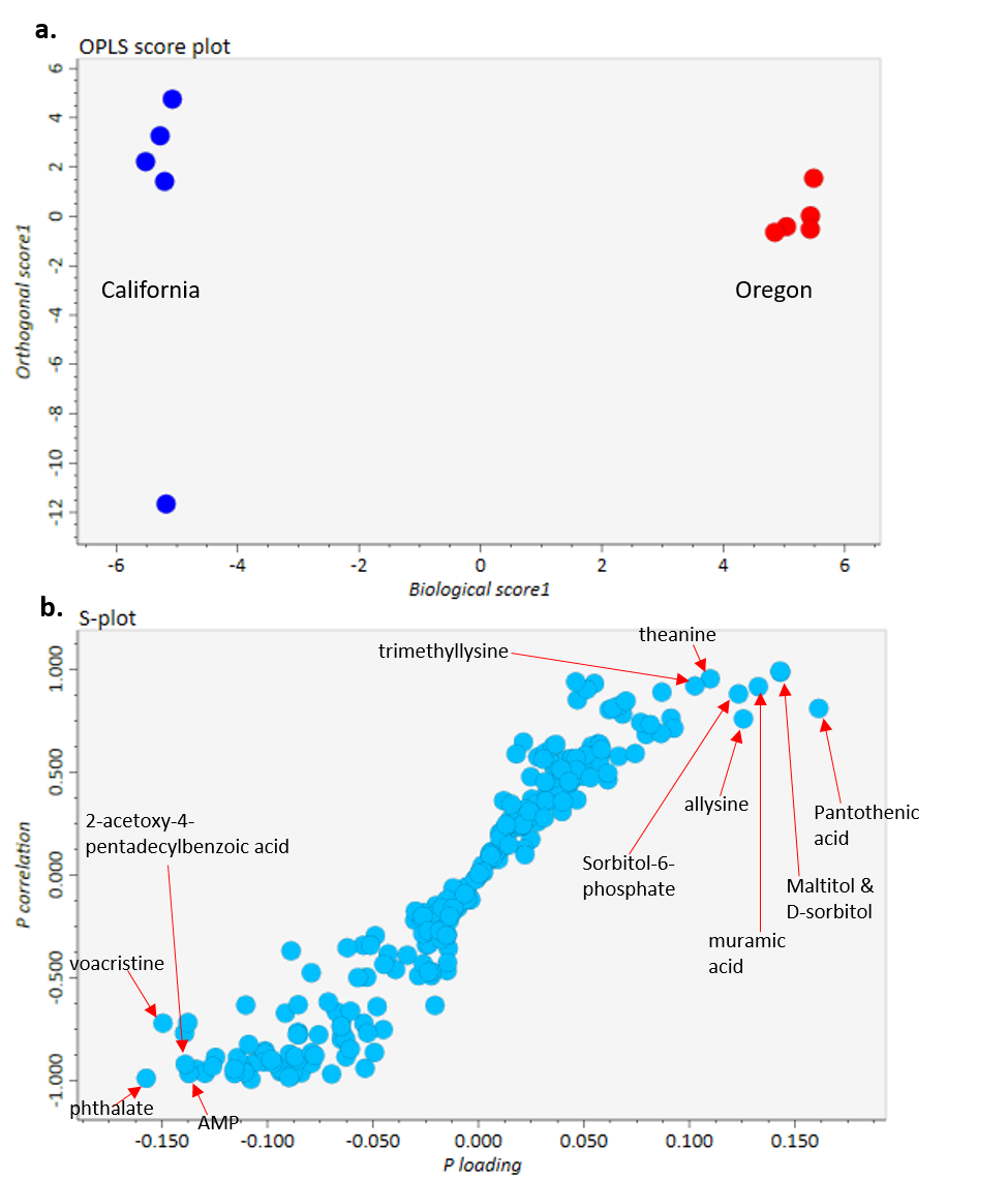 opls_plot_beesoregonvscalifornia.png