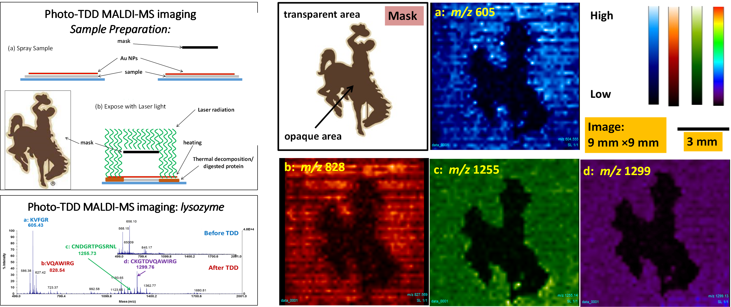 TDD imaging MALDI-MS