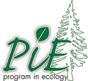 Program in Ecology