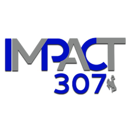 Impact 307