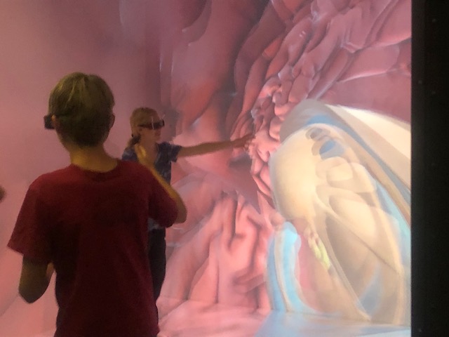 student exploring human brain in 3D cave