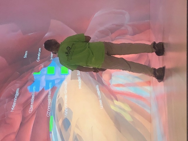 director in the 3D Cave exploring the human brain