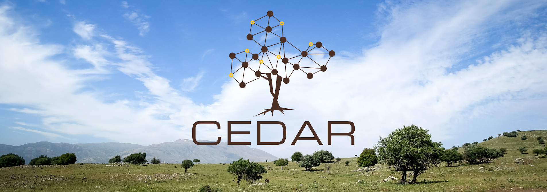 CEDAR Logo on mountain plain background