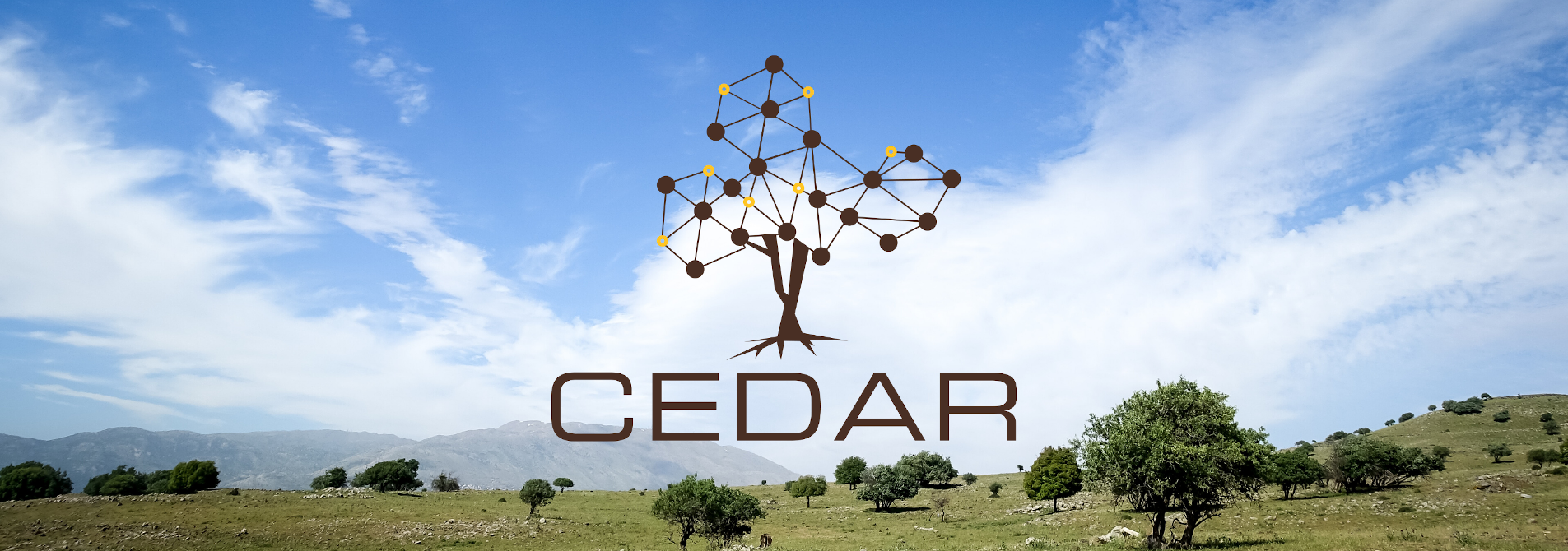 Cedar logo on a high mountain plain background