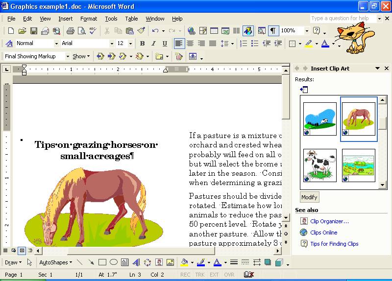 how to add clipart to microsoft word 2007 - photo #31