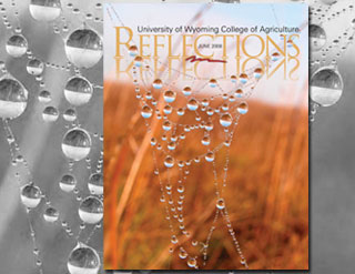 <i>Reflections</i> magazine