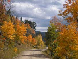 aspen alley