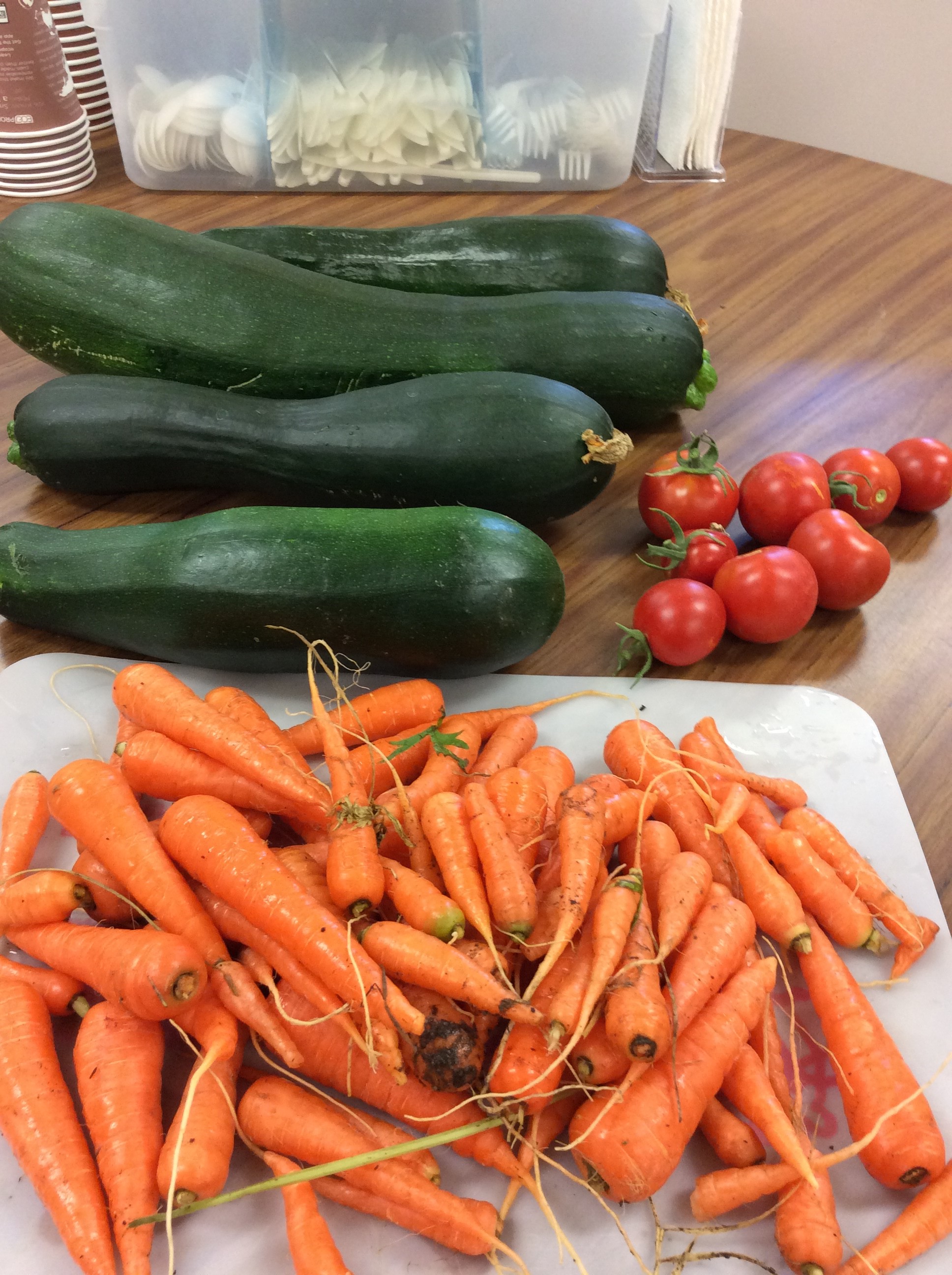 Vegetables from the Natrona County CNP garden