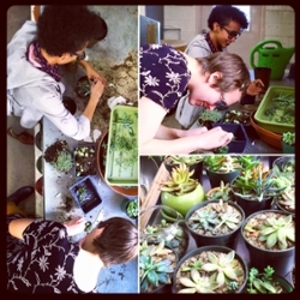 Two female volunteers creating succulent arrangements for a plant sale