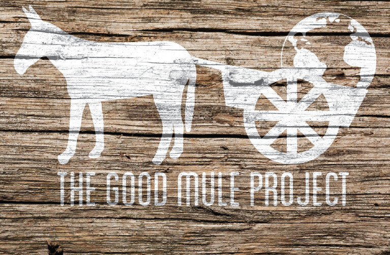 Good mule project logo over a wooden panel background