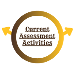 current-assessment-activities.png