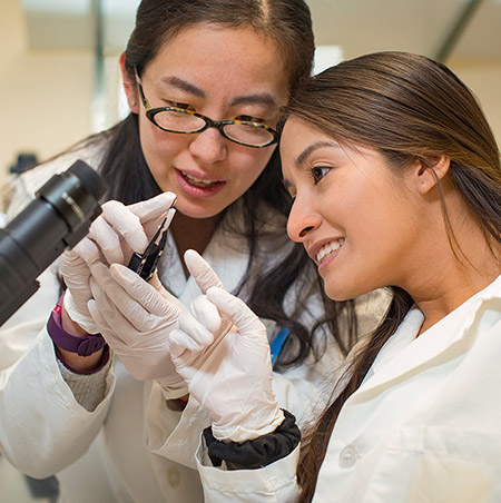 Two female students work with a microscope in a lab inside the Animal Science-Molecular Biology Building.