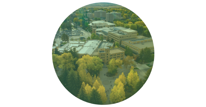 Birds eye image of the University of Wyoming campus with a green filter