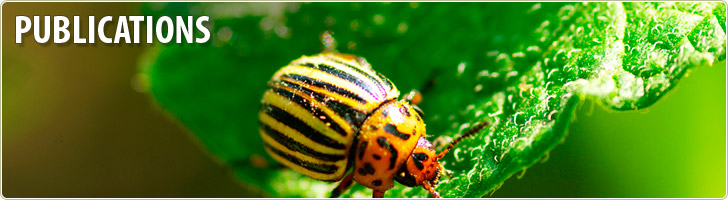 Lady bug on a leaf with the word Publications