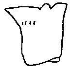 Side views of pronotums.
