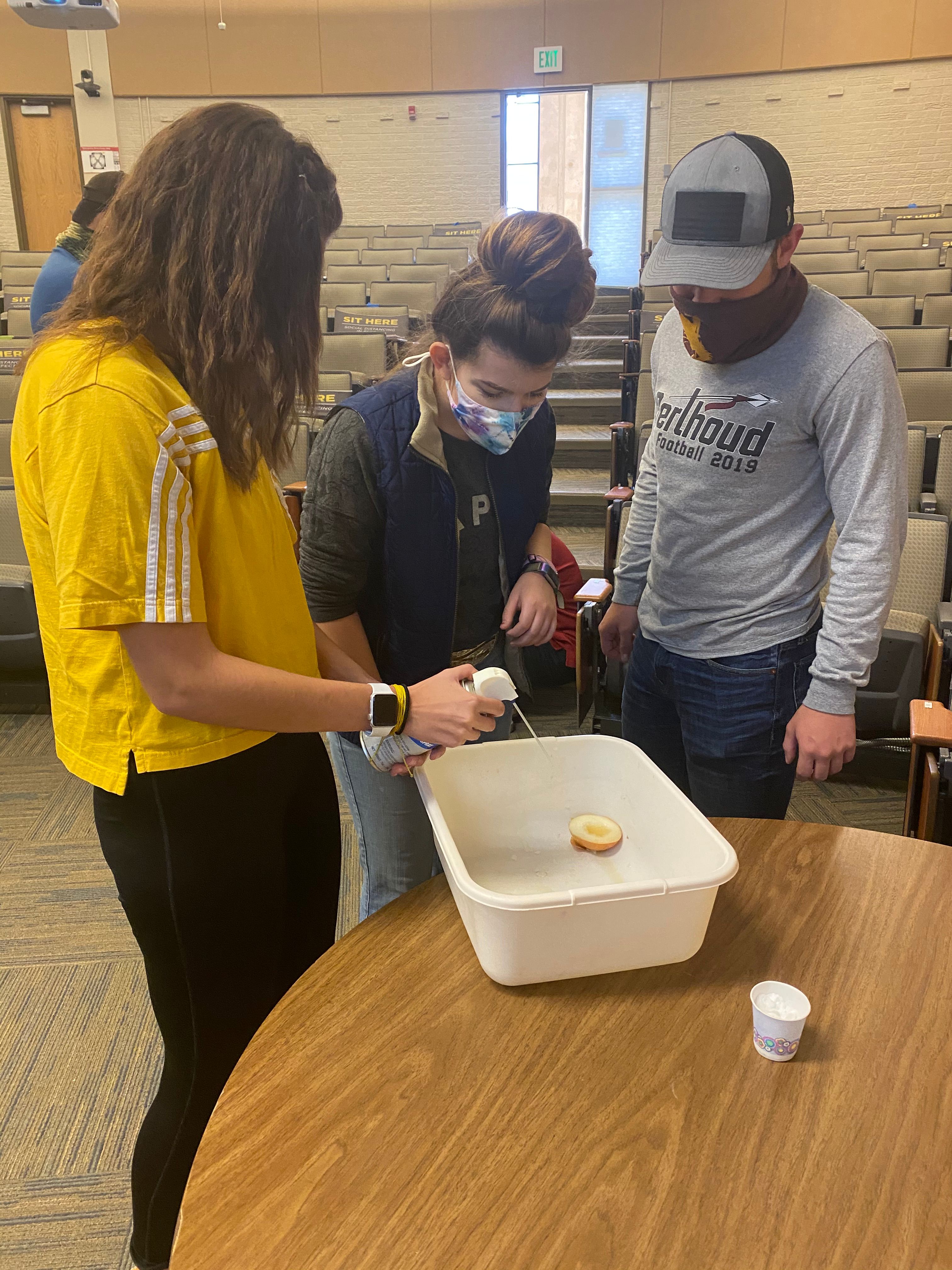 students in Everyday Science class conduct a lemon lab