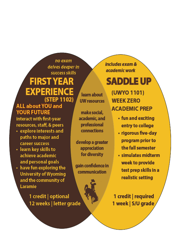 venn diagram showing differences between the fye course and saddle up. FYE course is all about you, the student