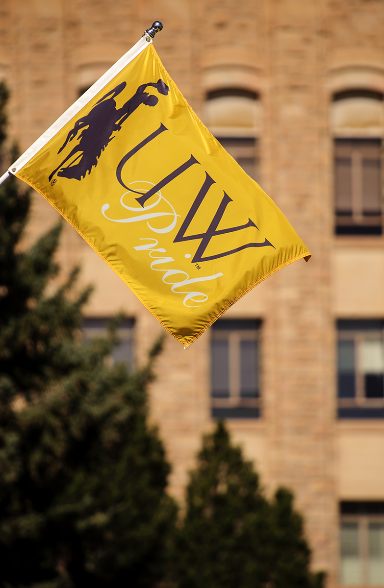 Gold flag with the words UW Pride