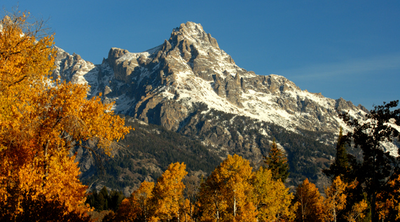tetons with trees in fall colors