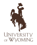 UW Logo Brown 