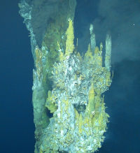 Hydrothermal vents in the Pacific Ocean