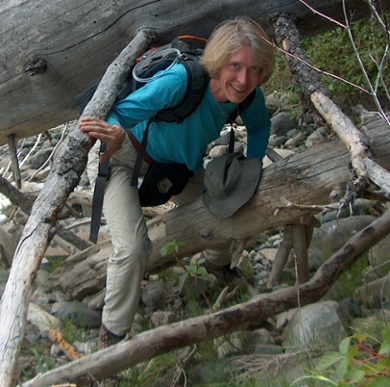 Carol Frost climbing through dead fall trees