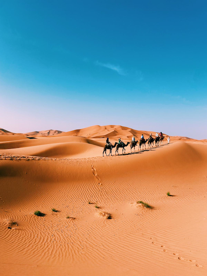 group of students riding camels in the Sahara desert