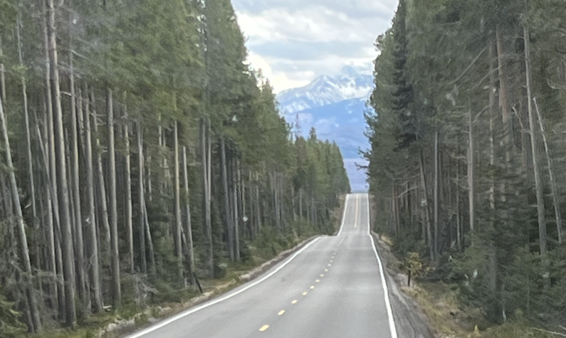 Tree-lined road through Yellowstone with the Tetons in the distance