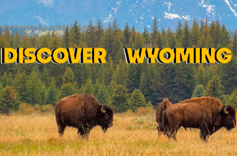 Bison in tetons with Discover Wyoming logo