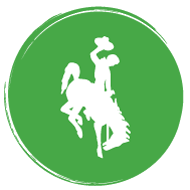 A steamboat logo on a green dot
