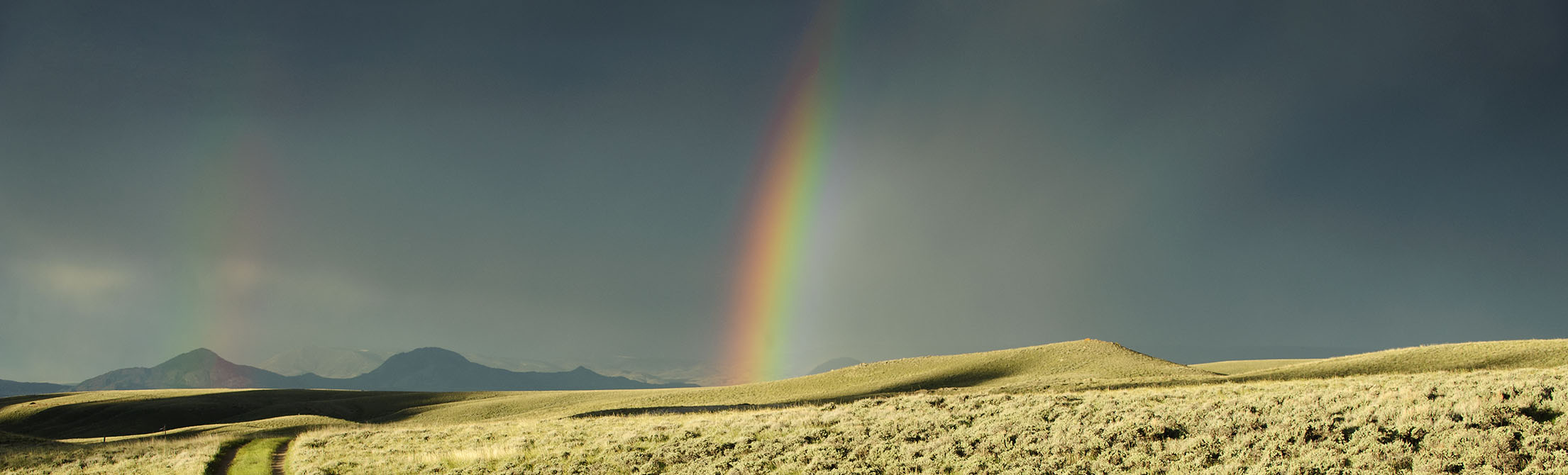 double rainbow over field