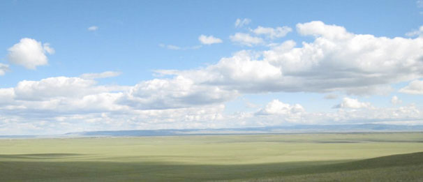 Open spaces: wide-open grassland and blue sky