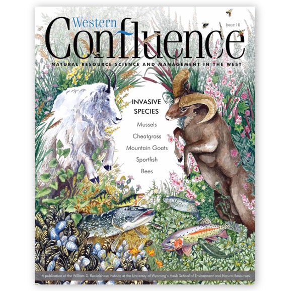 Publication cover, Western Confluence magazine, invasive species issue, 2020