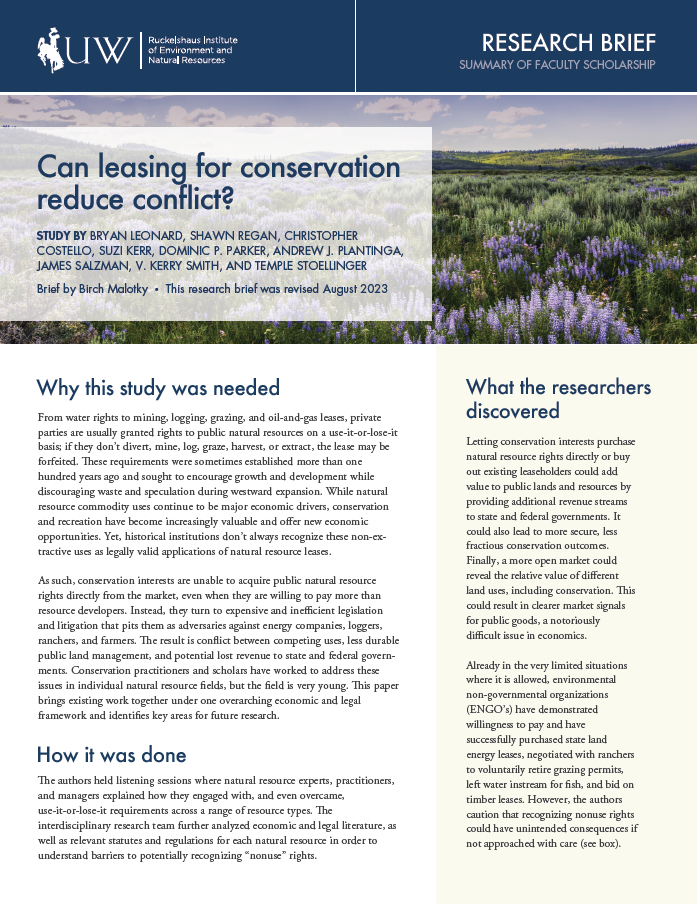 Cover of conservation leasing research brief with image of rangeland and wildflowers.