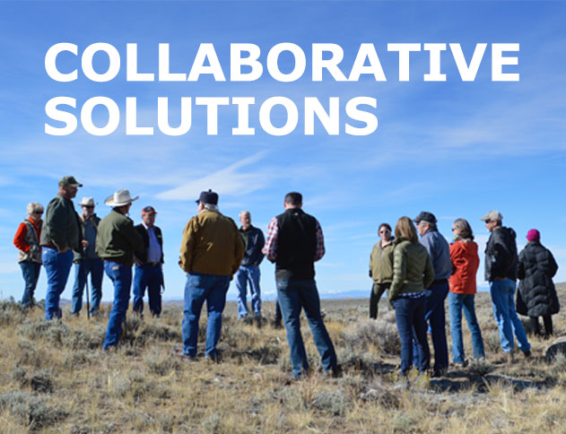Collaborative Solutions with group of diverse constituents working together in the prairie