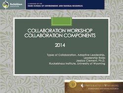 Collaboration Components, Jessica Clement, 2014
