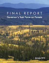Cover of Governor's Forest Task Force Final Report, 2015