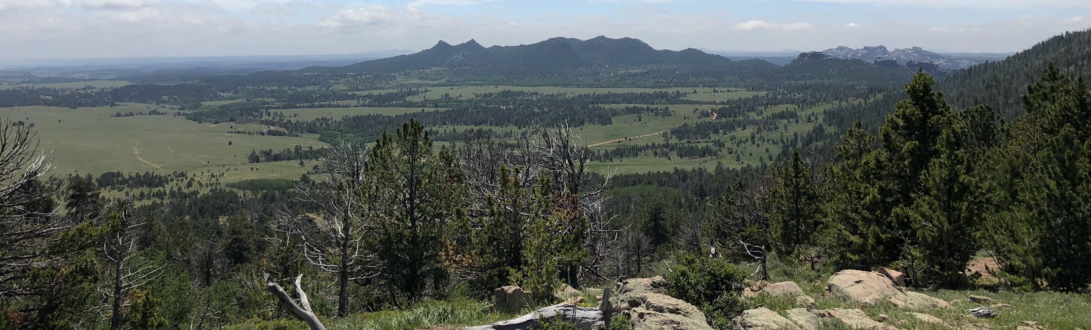 Photograph of Pole Mountain forest and hills.