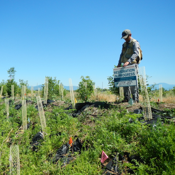 Tree planting as part of a direct payment program