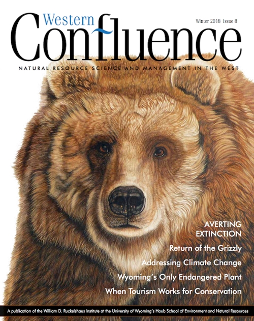 Cover of Western Confluence magazine, issue 08, AVERTING EXTINCTION, with painting of a grizzly bear's face