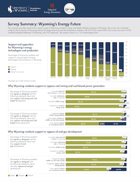 Report thumbnail of Wyoming' energy future survey summary
