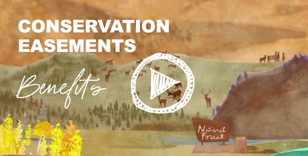 Conservation Easements Benefits video screenshot and play button