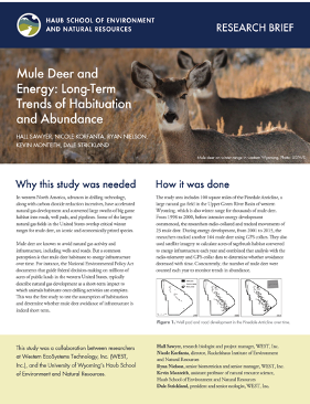 Report thumbnail of Mule Deer and Energy: Long-Term Trends of Habituation and Abundance