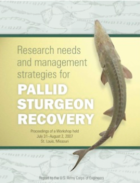 Report thumbnail of Research Needs and Management Strategies for Pallid Sturgeon Recovery