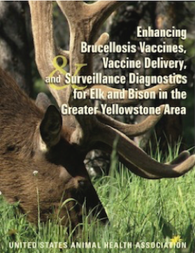 Report thumbnail of Enhancing Brucellosis Vaccines, Vaccine Delivery and Surveillance Diagnostics for Elk and Bison in the Greater Yellowstone Area
