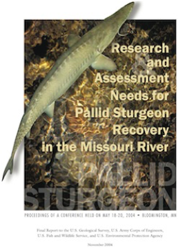 Report thumbnail of FResearch and Assessment Needs for Pallid Sturgeon Recovery in the Missouri River