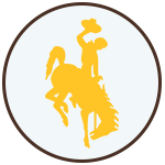 gold steamboat horse icon