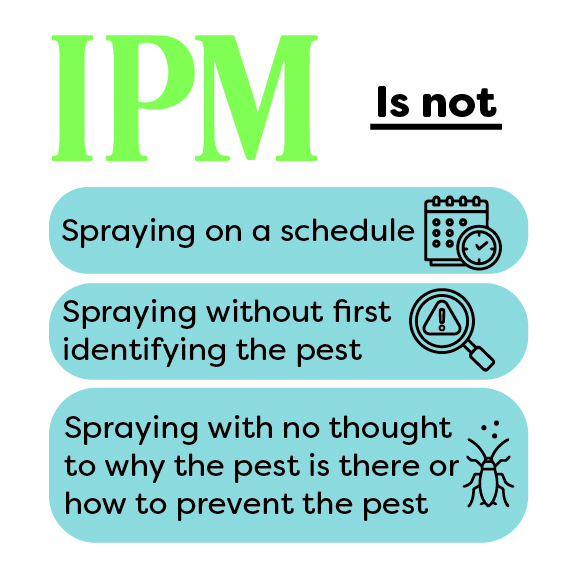 What IPM is not