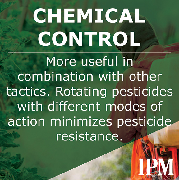 Chemicals can control pests